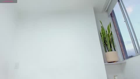 Xavier online show from 12/17/25, 10:49