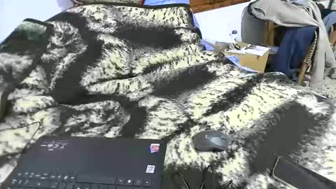 Snapshot of xaxi3 chatting on 03/15/26, 03:45 xaxi3 online show from 03/15/26, 03:45