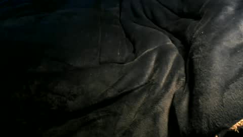 Snapshot of xbigtymerx chatting on 01/06/25, 12:35 Toke online show from 01/06/25, 12:35