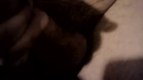 Snapshot of xdreamer chatting on 03/17/26, 10:24 xdreamer online show from 03/17/26, 10:24