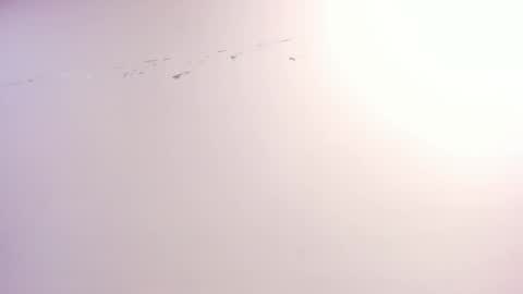 Xime  online show from 10/22/25, 03:07