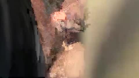 Dada online show from 04/29/26, 12:31