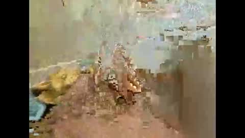 Jj880 online show from 11/27/25, 04:53