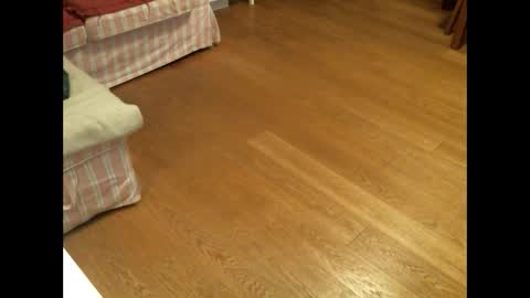 xmystiqdreamsx online show from 01/26/25, 12:01