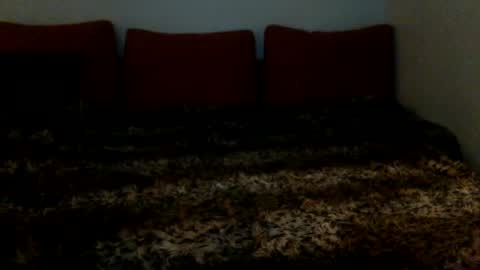 3 online show from 01/29/25, 06:01