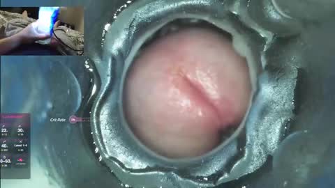 Snapshot of xoxowtf chatting on 12/07/24, 04:53 xoxowtf online show from 12/07/24, 04:53