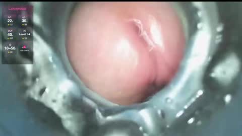 Snapshot of xoxowtf chatting on 12/09/24, 03:54 xoxowtf online show from 12/09/24, 03:54