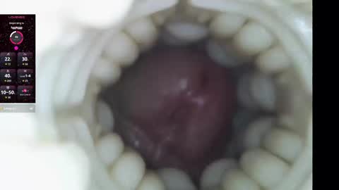 Snapshot of xoxowtf chatting on 02/09/26, 11:20 xoxowtf online show from 02/09/26, 11:20