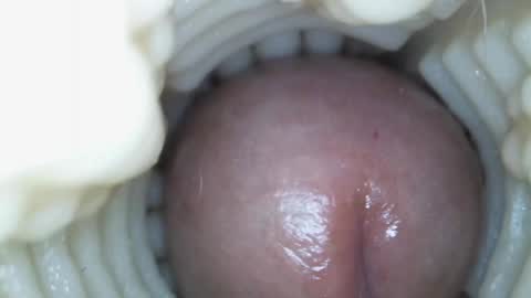 Snapshot of xoxowtf chatting on 03/15/26, 05:41 xoxowtf online show from 03/15/26, 05:41