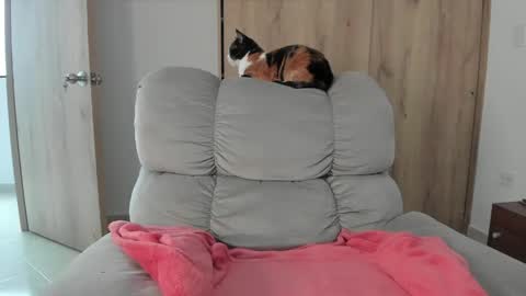 Hellen Sofia instagram hellen5546 online show from 05/09/26, 07:41