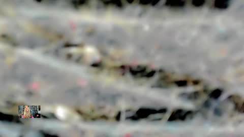 Snapshot of xthesexyboyx chatting on 02/16/25, 04:53 Femboy Exotic online show from 02/16/25, 04:53