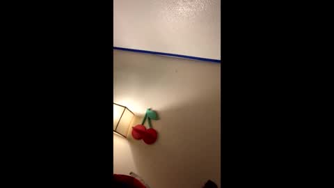 Snapshot of xtika chatting on 01/19/25, 08:18 xtika online show from 01/19/25, 08:18