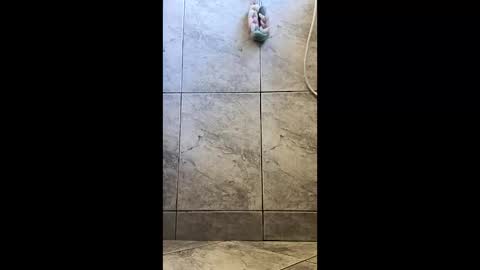 Snapshot of xviktorbr chatting on 03/26/26, 04:56 xviktorbr online show from 03/26/26, 04:56