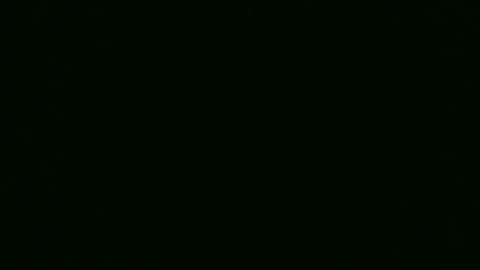 Kelsey online show from 12/14/24, 11:34