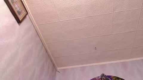 isa and gonzo online show from 12/20/24, 08:49