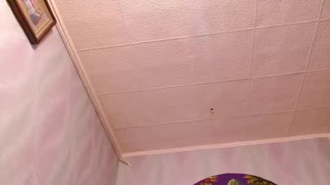 isa and gonzo online show from 02/02/25, 09:40