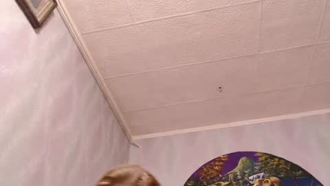 isa and gonzo online show from 03/07/25, 12:01