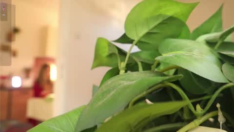 Snapshot of xxxoka chatting on 03/06/25, 02:08 Xxxoka online show from 03/06/25, 02:08