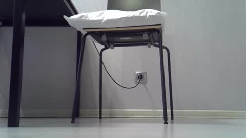 Dina online show from 02/01/26, 03:27