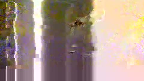 yangolox3 online show from 05/12/26, 02:30