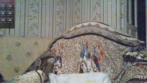 Sven online show from 01/15/25, 07:48