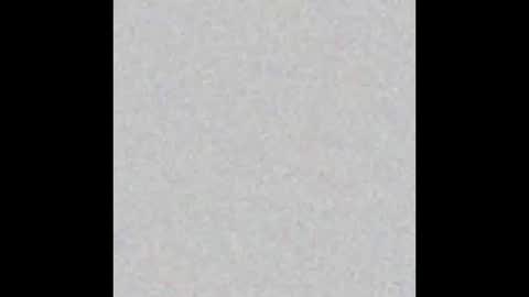 .     y e l l o w s n a k e s       . online show from 11/24/25, 10:26