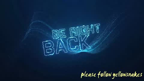 .     y e l l o w s n a k e s       . online show from 11/24/25, 10:42