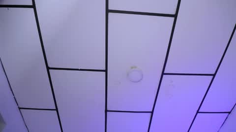 YEM online show from 12/18/24, 09:29