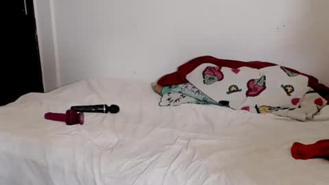 tulipan online show from 02/02/25, 09:45