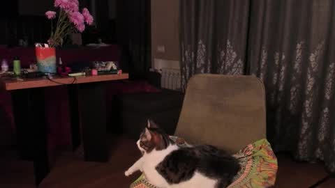 Snapshot of yoga_pizza_420 chatting on 11/14/25, 04:33 Max online show from 11/14/25, 04:33