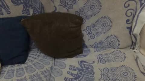 AlexBlack online show from 01/11/26, 11:54