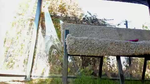 private on 18 per minute start private 500 tokensOnlyfans  online show from 11/02/25, 11:56