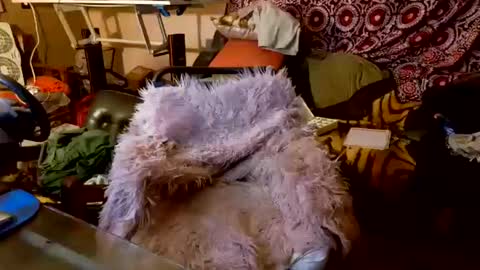 Snapshot of your_dog chatting on 10/20/25, 05:08 Taylor Tash online show from 10/20/25, 05:08