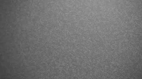 Snapshot of your_little_flexible_girl chatting on 02/13/25, 09:38 Meri online show from 02/13/25, 09:38