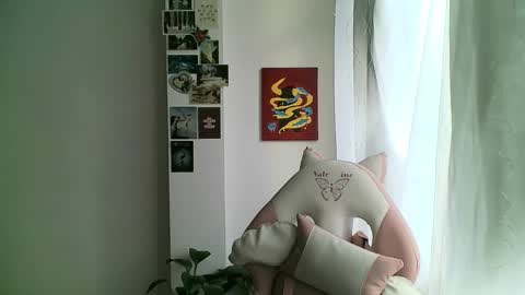 Snapshot of your_sttar chatting on 01/08/25, 11:54 your sttar online show from 01/08/25, 11:54