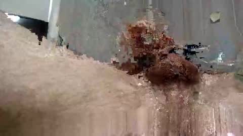 yourwishismypleasure1 online show from 11/17/25, 08:47