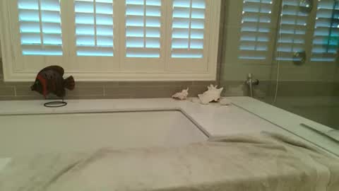 yttims online show from 02/01/26, 03:43