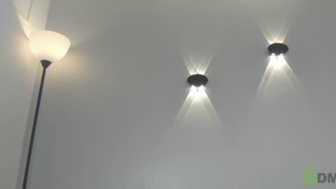 yulievans online show from 12/30/24, 11:06