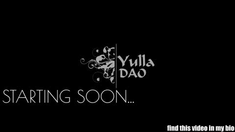 Snapshot of yulladao chatting on 01/01/25, 05:33 yulla dao online show from 01/01/25, 05:33