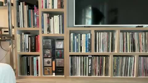 Snapshot of yumiandwolf chatting on 03/05/25, 11:16 yumiandwolf online show from 03/05/25, 11:16