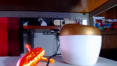 Snapshot of zafiro_subversiva chatting on 03/16/26, 09:30 zafiro_subversiva online show from 03/16/26, 09:30