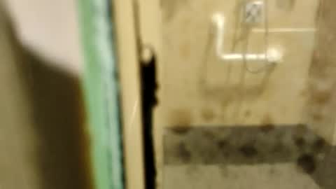 Snapshot of zaidmlake199 chatting on 02/09/26, 01:53 ZUL online show from 02/09/26, 01:53