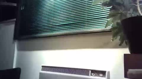 Snapshot of zalina2 chatting on 03/08/26, 06:06 zalina2 online show from 03/08/26, 06:06