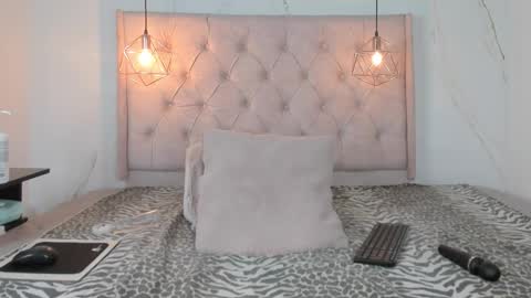 Snapshot of zamirasc chatting on 11/29/25, 01:47 ZAMIRA online show from 11/29/25, 01:47