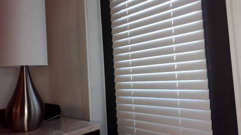 Snapshot of zamoraedii1994 chatting on 01/02/25, 04:46 Edii online show from 01/02/25, 04:46