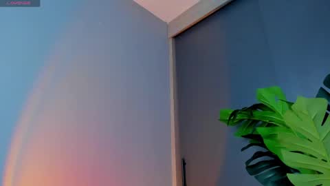 Zara online show from 04/29/26, 02:32