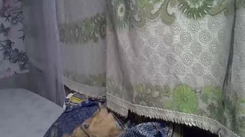 zarinamarlin online show from 05/05/26, 06:21