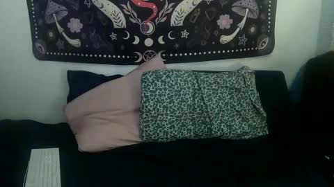 Snapshot of zeldasroom chatting on 01/24/25, 01:24 Zelda online show from 01/24/25, 01:24