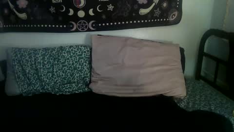 Snapshot of zeldasroom chatting on 02/17/25, 02:09 Zelda online show from 02/17/25, 02:09