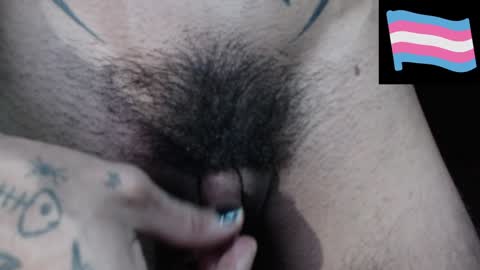 Zeldris online show from 12/14/24, 11:12